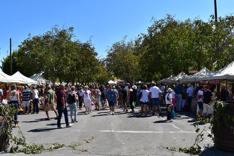 statos_agios_photios_festival_04